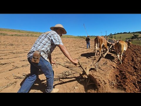 REUNIDOS ARAR TERRA EM BRASOPÓLIS MG
