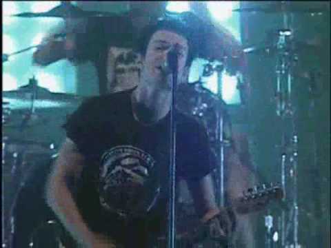 concierto sum 41 live in tokyo- thanks for nothing