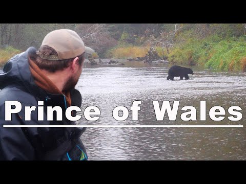 5 Days Salmon Fishing & Exploring Alaska