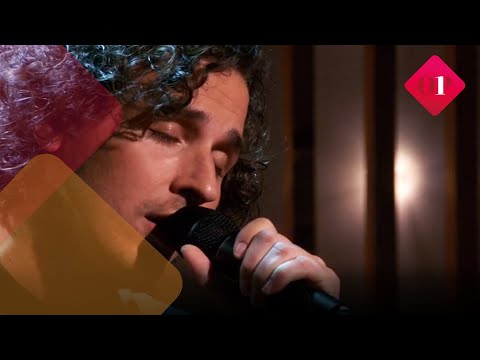 Nielson bracht onder zijn echte naam, Niels Littooij, een nieuwe EP uit: hij zingt 'Grijs' | Op1