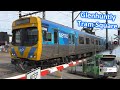 Trains Trams At The Glenhuntly Tram Square Melbourne Transport