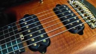 Video thumbnail for Unboxing Ernie Ball Music Man John Petrucci Majesty Artisan Marrone 7 string by Richard Vu