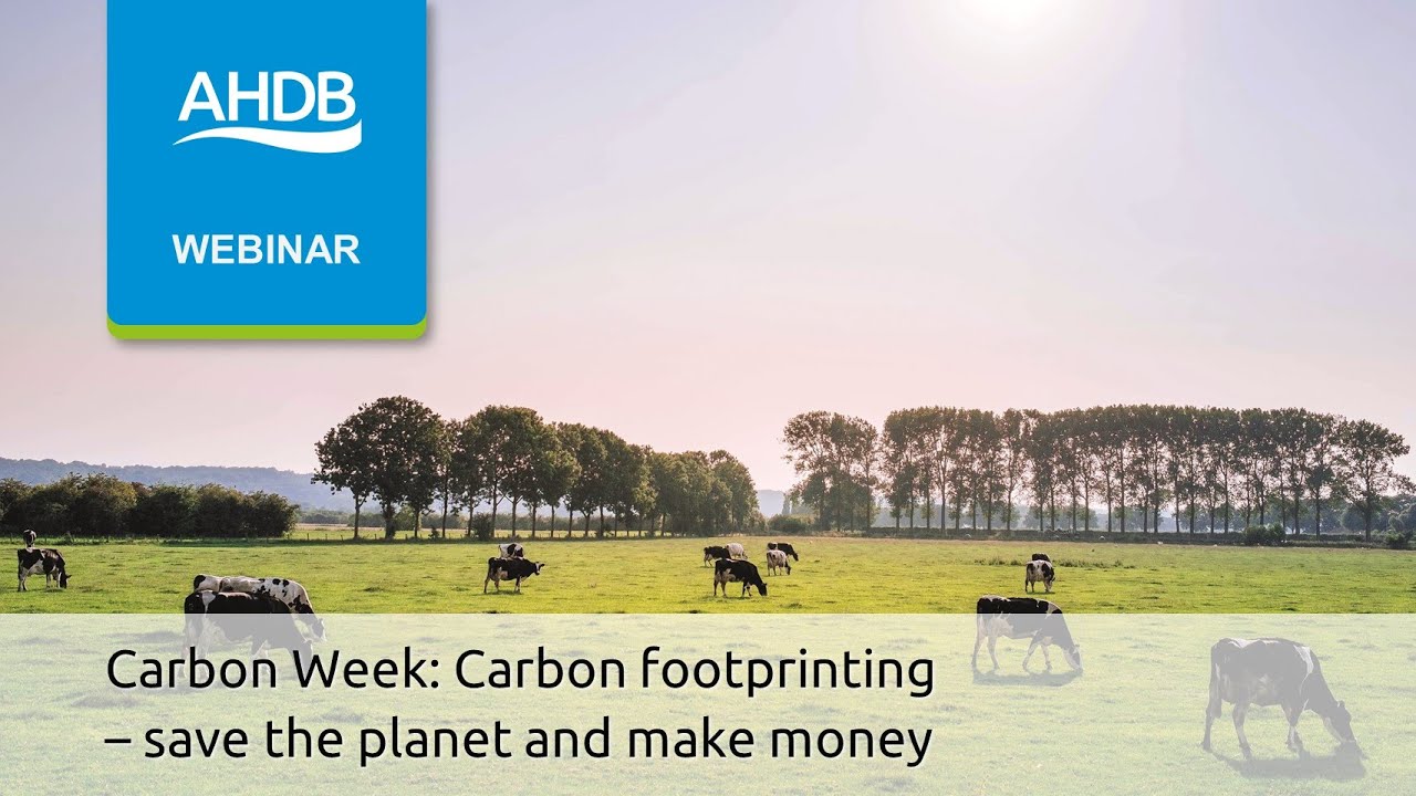 Carbon Week – Carbon footprinting – save the planet and make money