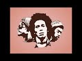 "Love Light (Shining) 2025" - Bob Marley & The Wailers (prod. by Borka B)