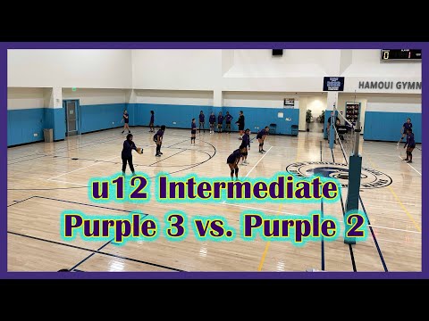u12 "Purple 3" vs. "Purple 2" 11-20-22