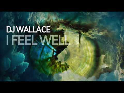 DJ Wallace I Feel Weel