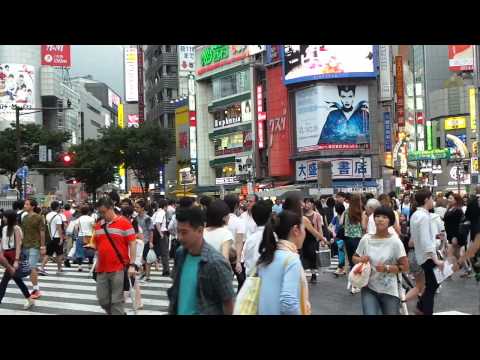 The Famous Shibuya Crossing
