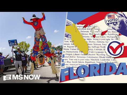 ‘Like Florida Man having his own election’: Primary night HEATS UP in FL