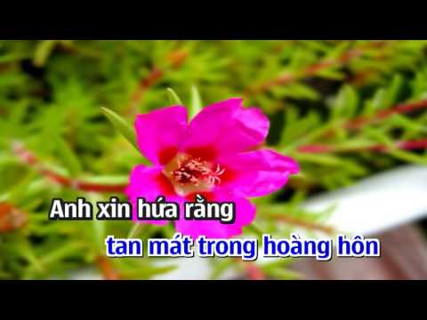 CHUYỆN TÌNH HOA MƯỜI GIỜ QUANG LÊ KARAOKE DEMO