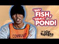 Big Fish Small Pond
