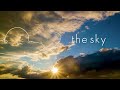 Shell The Tree The Sky The Sun