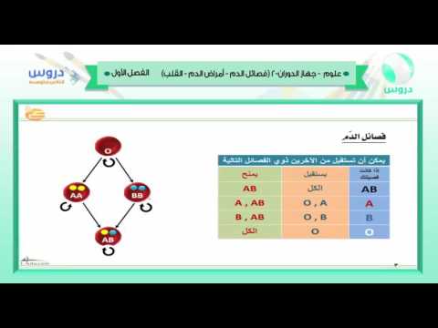 الثاني المتوسط | الفصل الدراسي الأول 1438 | علوم | جهاز الدوران 3