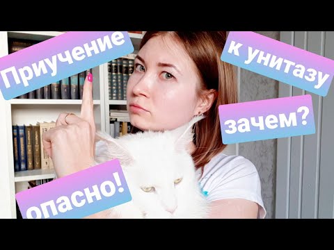 ЖИЗНЬ С МЕЙН-КУНАМИ / ПРИУЧЕНИЕ КОШЕК К УНИТАЗУ