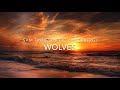 Sam Tinnesz (feat. Silverberg) - Wolves - Lyrics