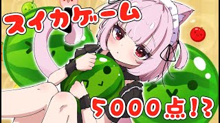 [Vtub] 三毛貓 西瓜遊戲 5000分挑戰 20231013