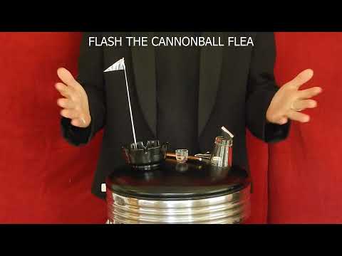 G SPARKS MAGIC - FLASH THE CANNONBALL FLEA