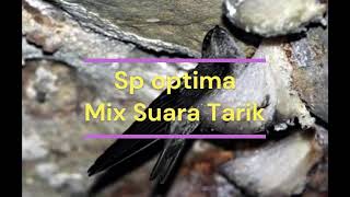 Download lagu Sp Optima mix Suara Tarik ‐ mp3