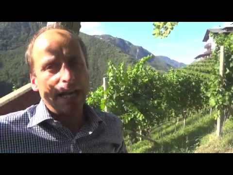 Praesulis, Gumphof e il prologo della Val d'Isarco