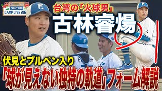 [分享] 今日古林