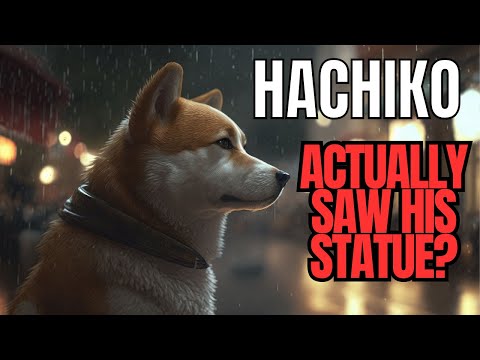 Untold Story of Hachiko: 10 Facts You Need To Know