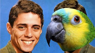 Passaredo - Chico Buarque (Só que aparecem os pássaros certos)
