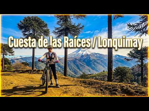 ¡Recorrí la RUTA MÁS HERMOSA de Chile en Bicicleta! 🚴‍♂️ (Cuesta Las Raíces & Ciclovía Lonquimay )