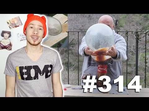 This is Хорошо - Пес-овца. =х=