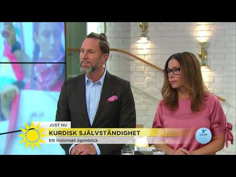 Soran Ismail: ”Jag känner glädje - men oro över vad det leder till”  - Nyhetsmorgon (TV4)