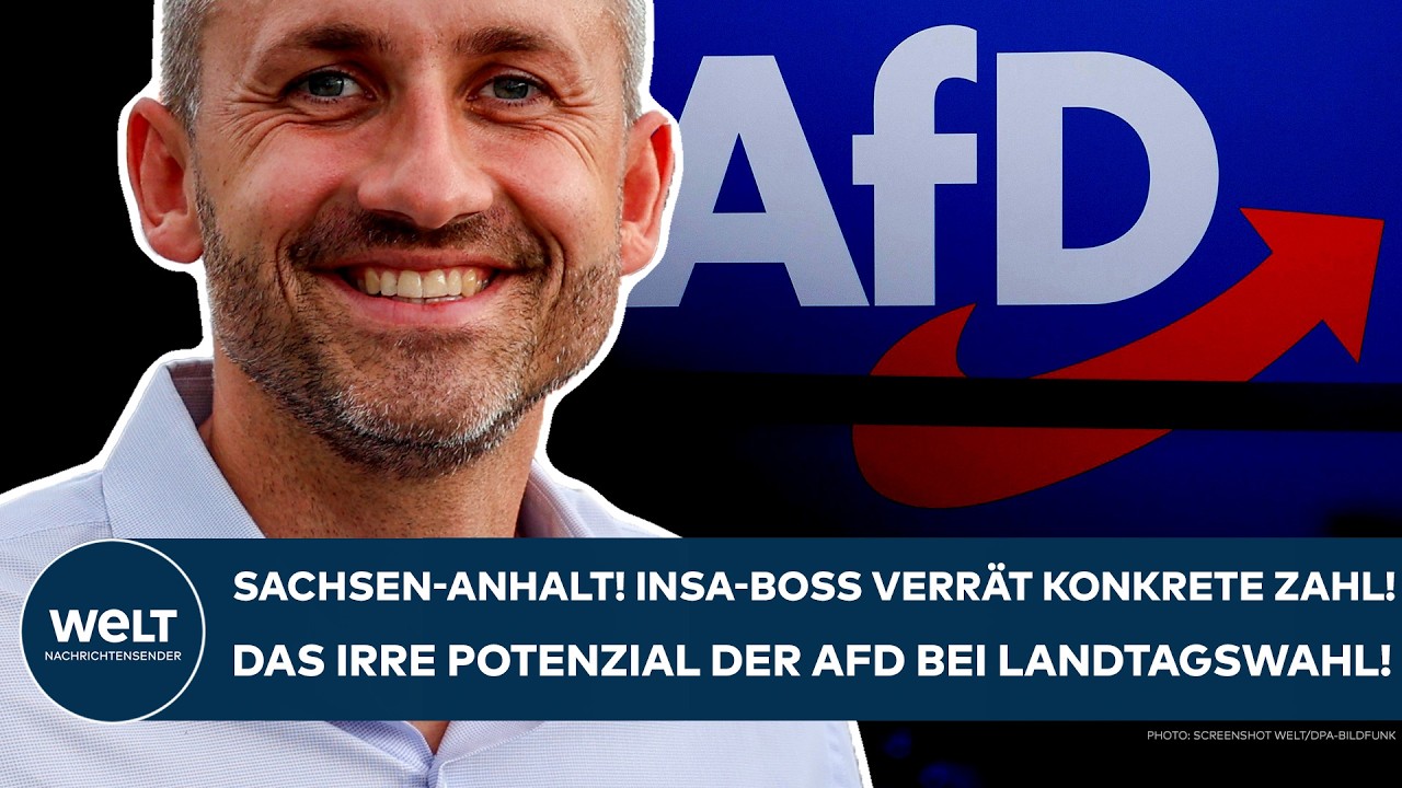 SACHSEN-ANHALT: Insa-Boss verrät! AfD? "Sie hat zusätzlich sieben Prozentpunkte mögliches Potenzial"