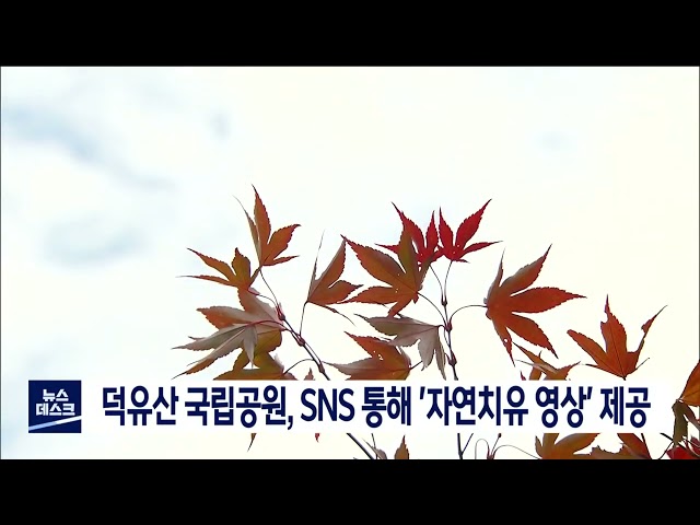 덕유산 국립공원, 자연치유 영상 제공