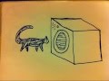 Cat In A Washing Machine Omg