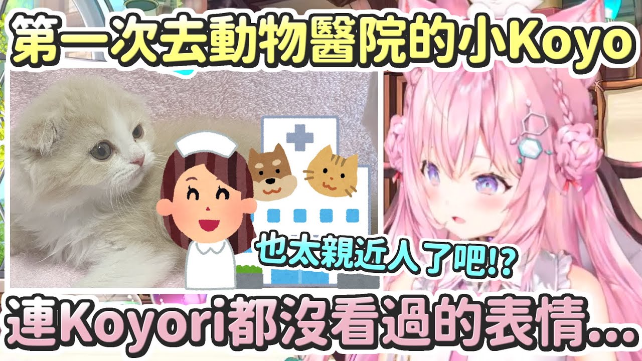 【博衣小夜璃】看到小Koyo(貓)跟護理師比和自己還親，突然感覺到不太對勁的Koyori【Hololive中文】