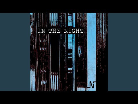 In The Night (feat. Golden Parazyth) (Noir Restrospective Remix)