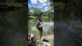 Flexibility Easy Stretch Yoga Flow #shorts