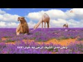 شيلة البر وصفة علاج / كلمات ثاني الدهمشي / اداء غيث mp3