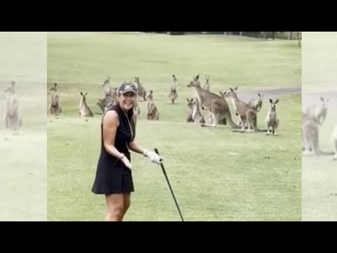 Kangaroos mob golfer in Australia 🦘🇦🇺 | Wendy Woo Golf
