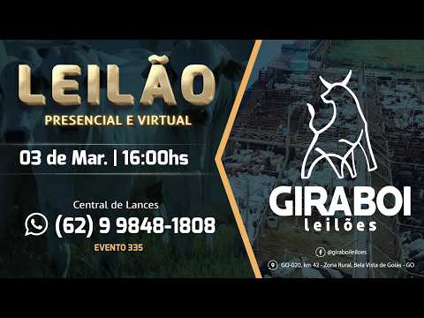 Leilão Gado de Corte - Giraboi Leilões 03/03/2026 Bela Vista de Goiás