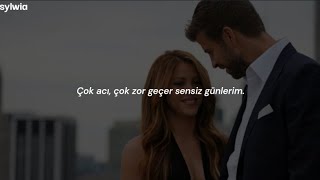 Shakira - Moscas en la Casa [türkçe çeviri]