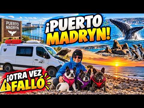 ¡Llegamos a Puerto Madryn! 🐋 Un destino inesperado y otra falla de la Lola Viajera 😱