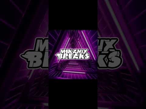 Rektchordz Feat. MC Profit - The Realness