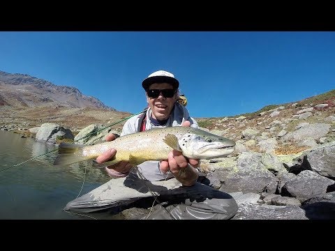 ALTITUDE-another good day of flyfishing