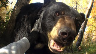 Lirik Lagu Past Won't Leave My Bed - Joji: I Open My Eyes Her Face Lingers On the Walls