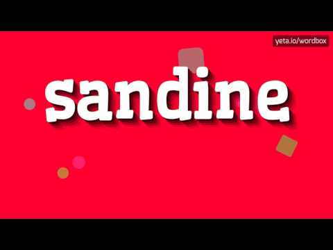 HOW TO SAY SANDINE? #sandine