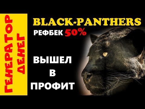 📛 СКАМ 📛Black panthers 📛 Вышел в профит!