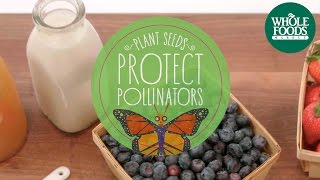 Smoothies Without Pollinators | Values Matter | Whole Foods Market
