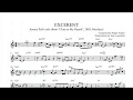 Jeremy Pelt - Excerent (solo transcription)