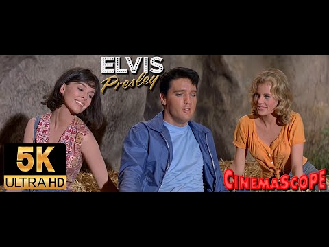 Elvis Presley AI 5K Restored - There's Gold In the Mountains (1964)