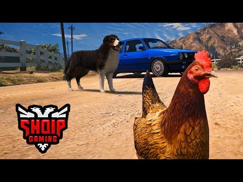 GTA 5 SHQIP - Kopshti zoologjik (Pula, Qeni, Gorilla etj.) !! - SHQIPGaming