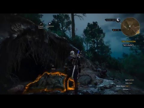 The Witcher 3: Wild Hunt Part 358 (Story and Sword, Blind)