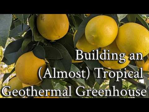 Building an (Almost) Tropical Geothermal Climate Battery Greenhouse in a Temperate Climate